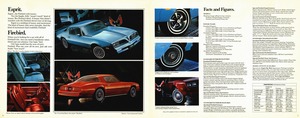 1978 Pontiac Firebird (Cdn)-06-07.jpg